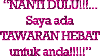 Nanti dulu, saya ada tawaran hebat untuk anda!